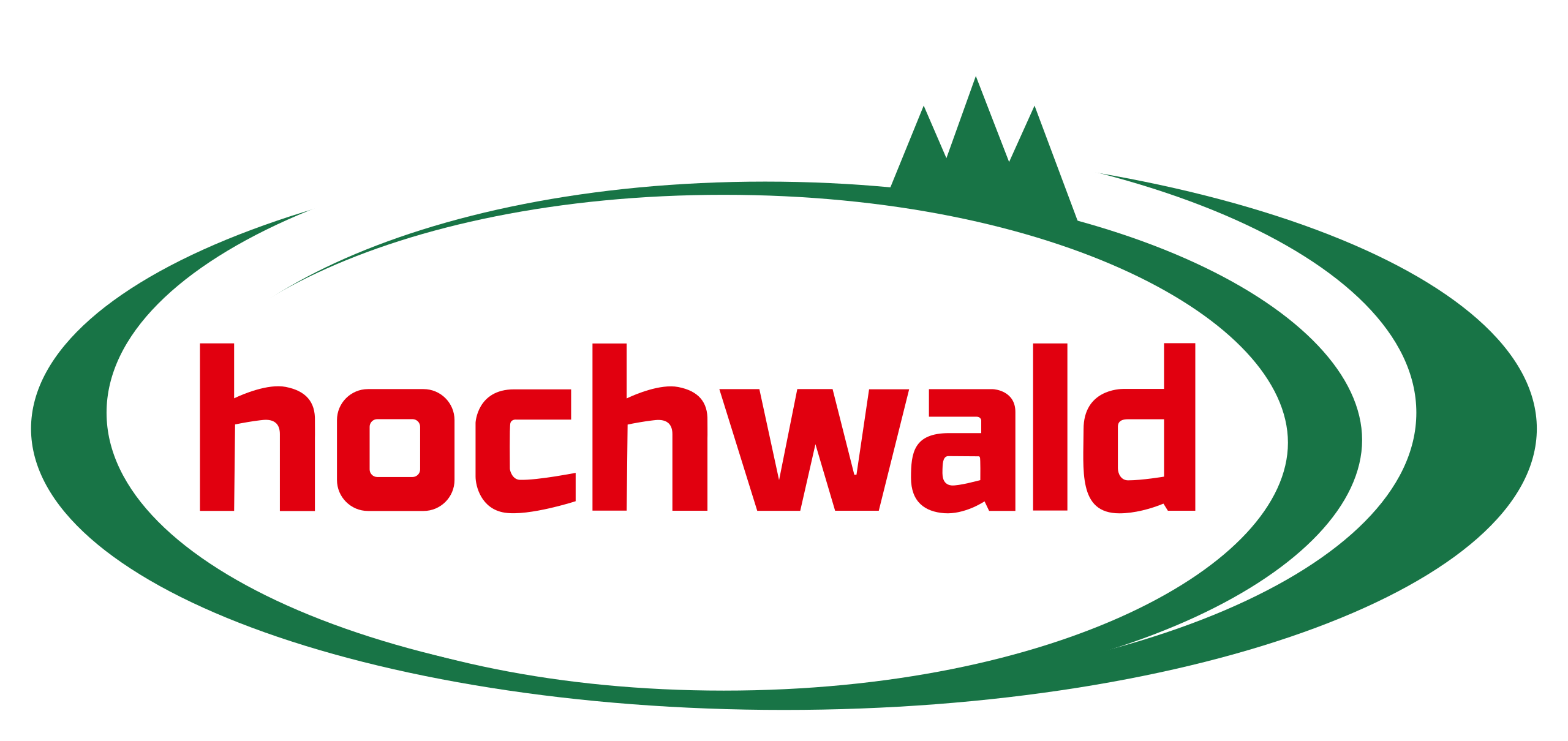 Logo Hochwald