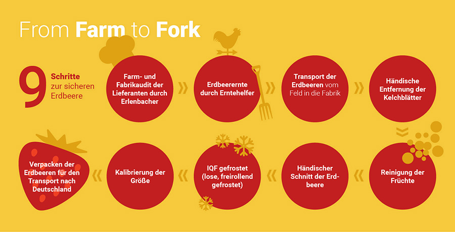 In 9 Schritten zur sicheren Erdbeere