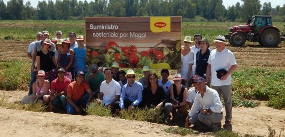Maggi Mitarbeiter stehen auf einem Tomatenfeld in Spanien