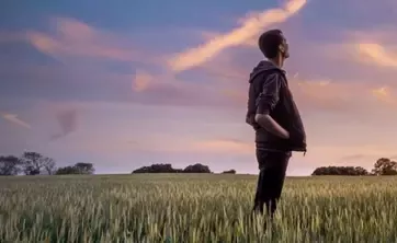 Person blickt bei Sonnenaufgang über ein Feld.