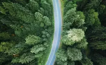 Straße durch den Wald