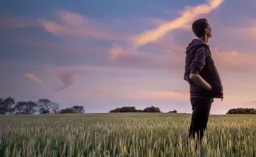 Person steht auf einem Feld und schaut sich den Sonnenuntergang an