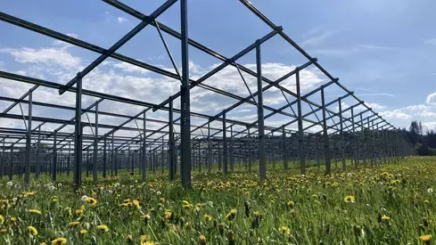 Agri-PV_Feldaufnahme