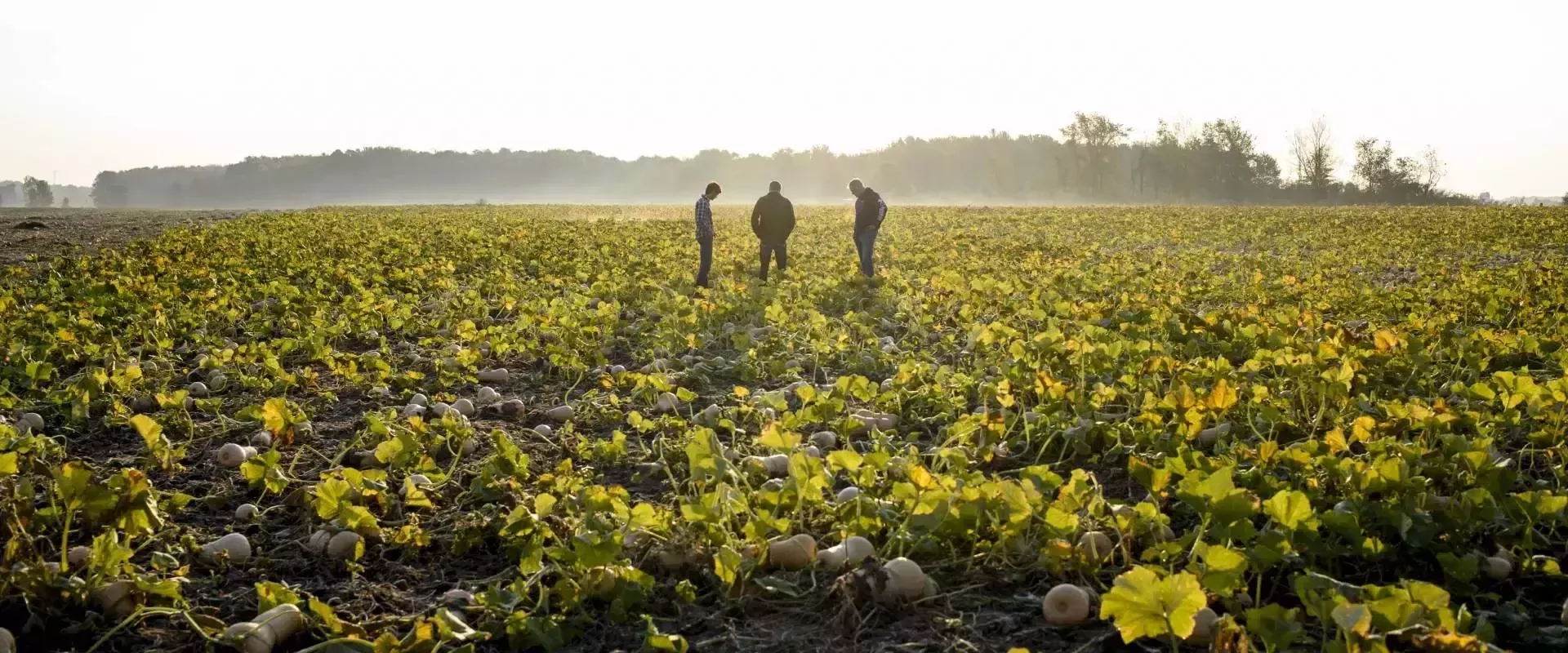 Männer stehen auf dem Feld zusammen