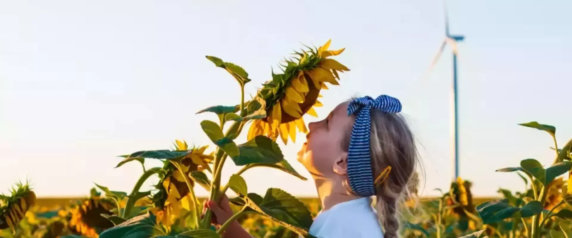 Kind riecht an Sonnenblume