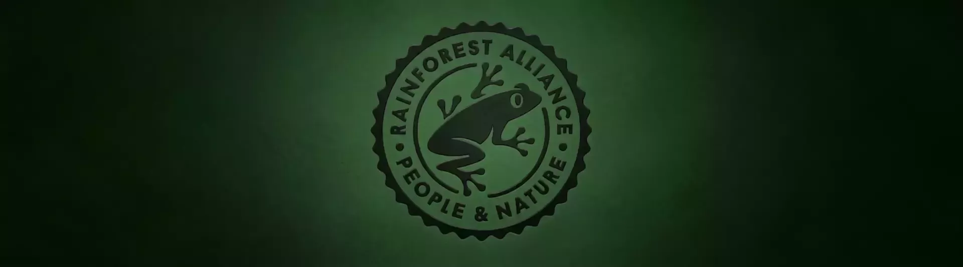 Rainforest Logo