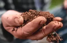 Teaserbild Digitaler Nachhaltigkeitsbericht 2021