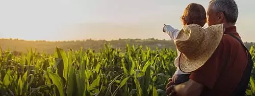 a man holds a child standing on a field