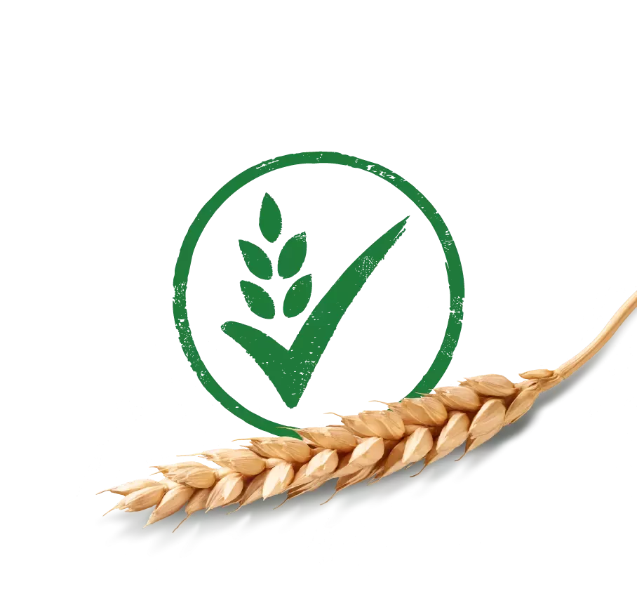 NBC Whole Grain