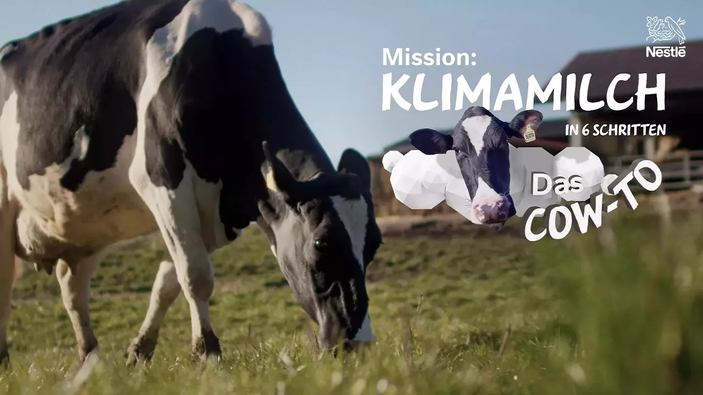 Kuh Berta auf Mission Klimamilch