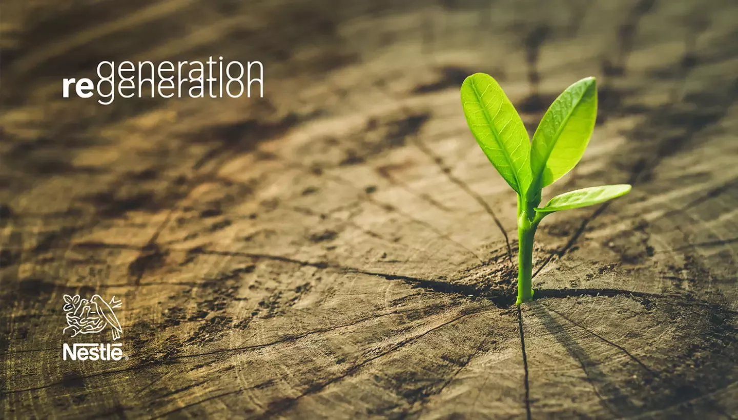 Regeneration in Action