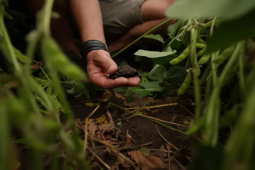 Garden Gourmet - Regenerative Landwirtschaft
