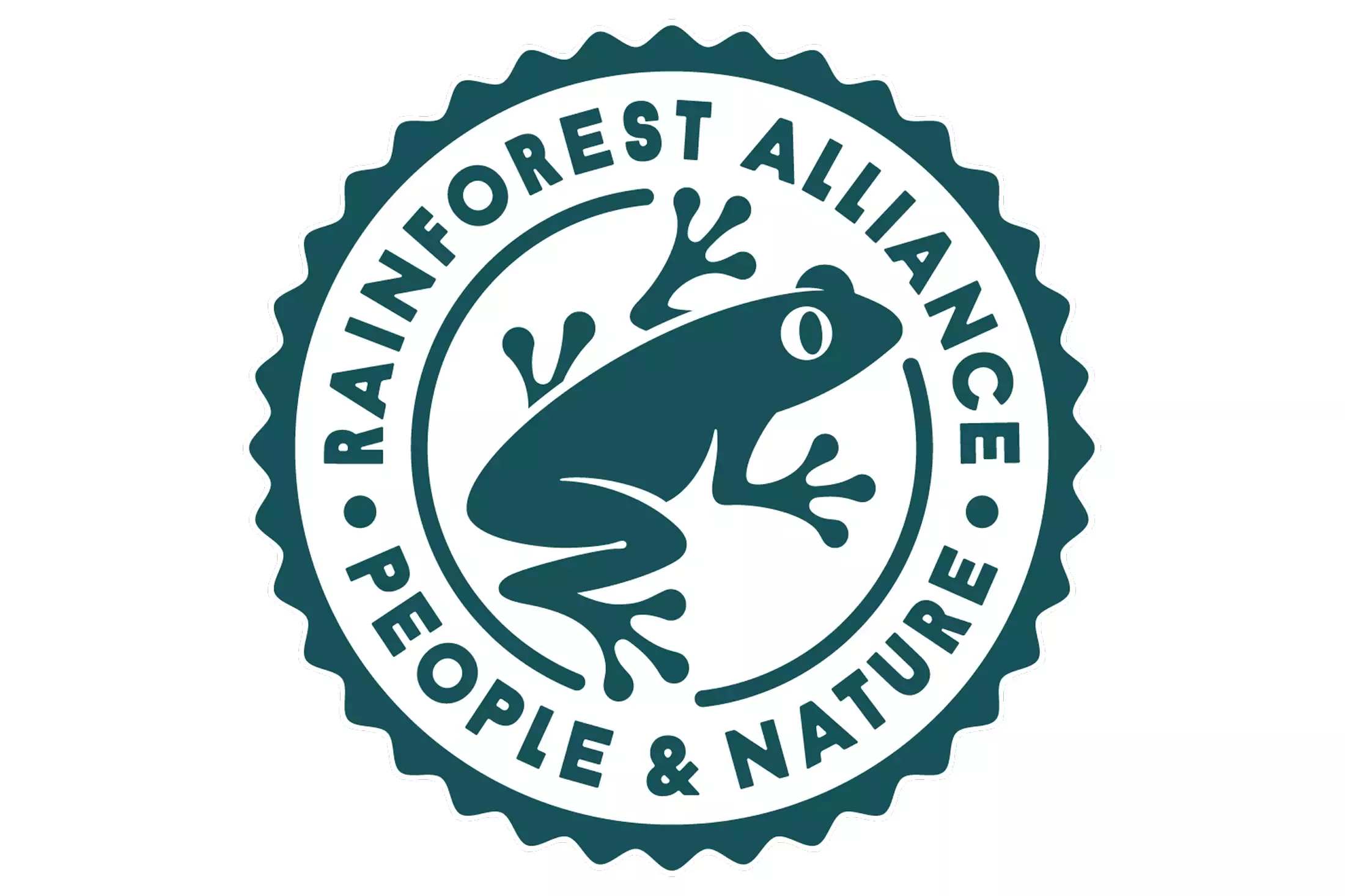 Rainforest Logo