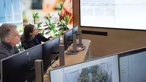 Büroangestellte