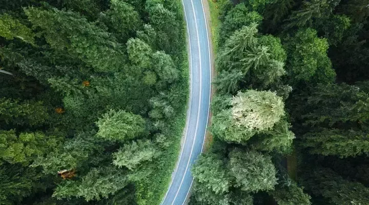 Straße durch den Wald