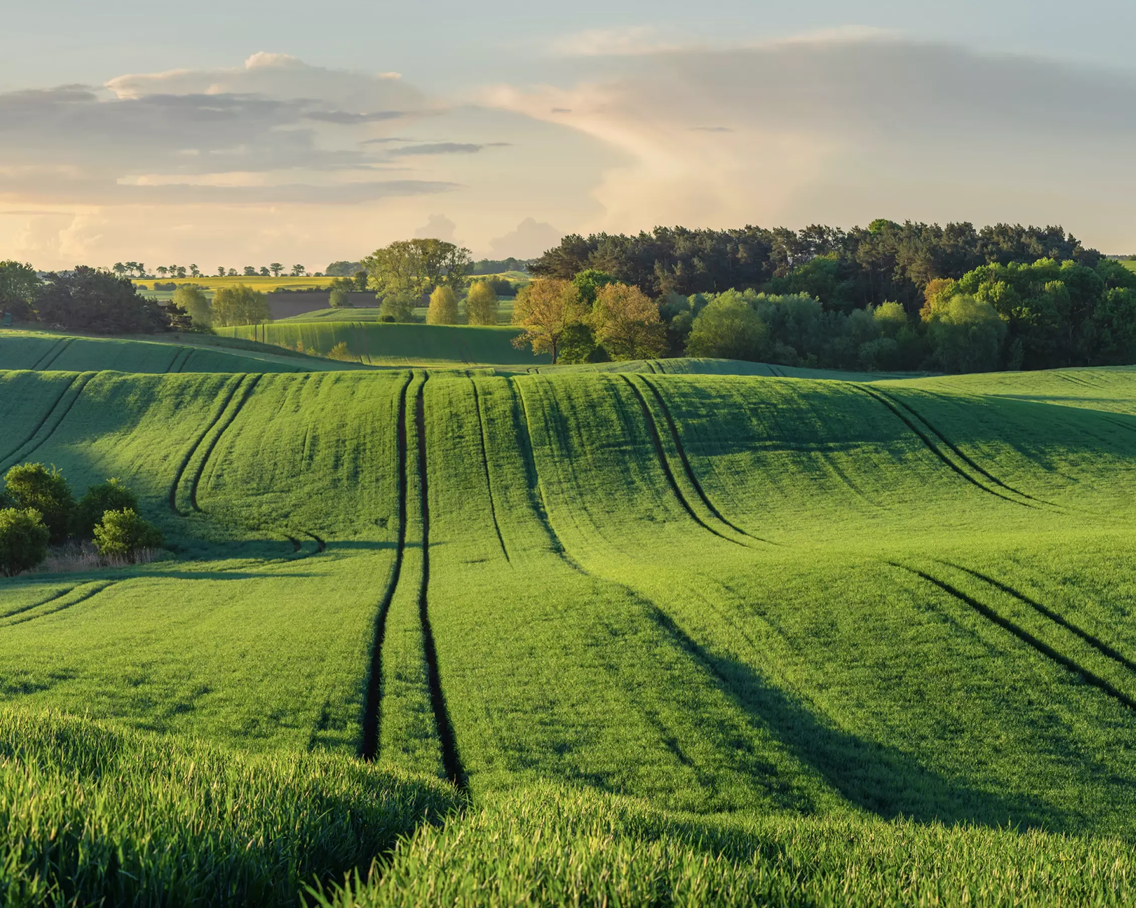 Landschaft