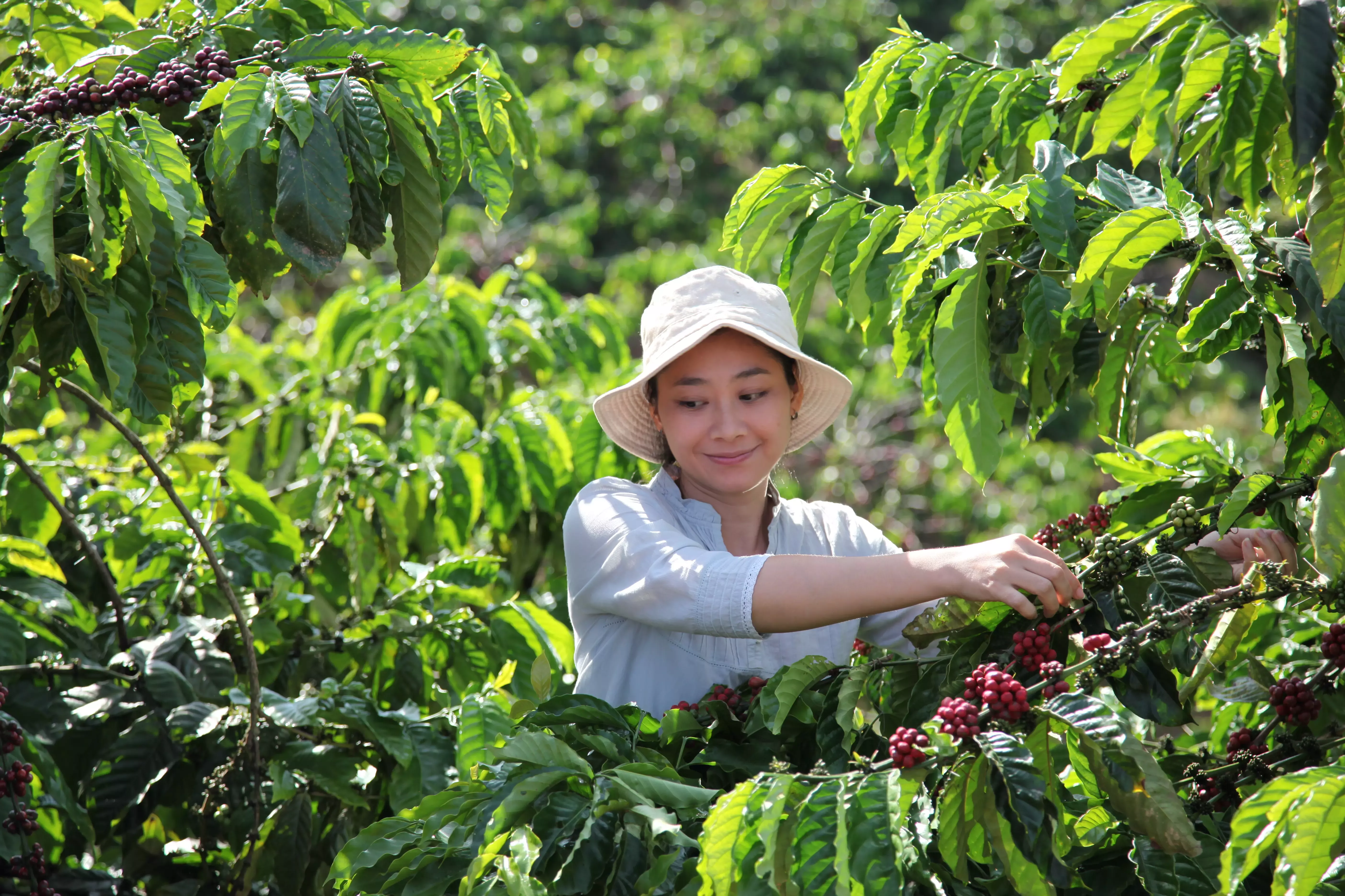 Nescafé Plan 2030