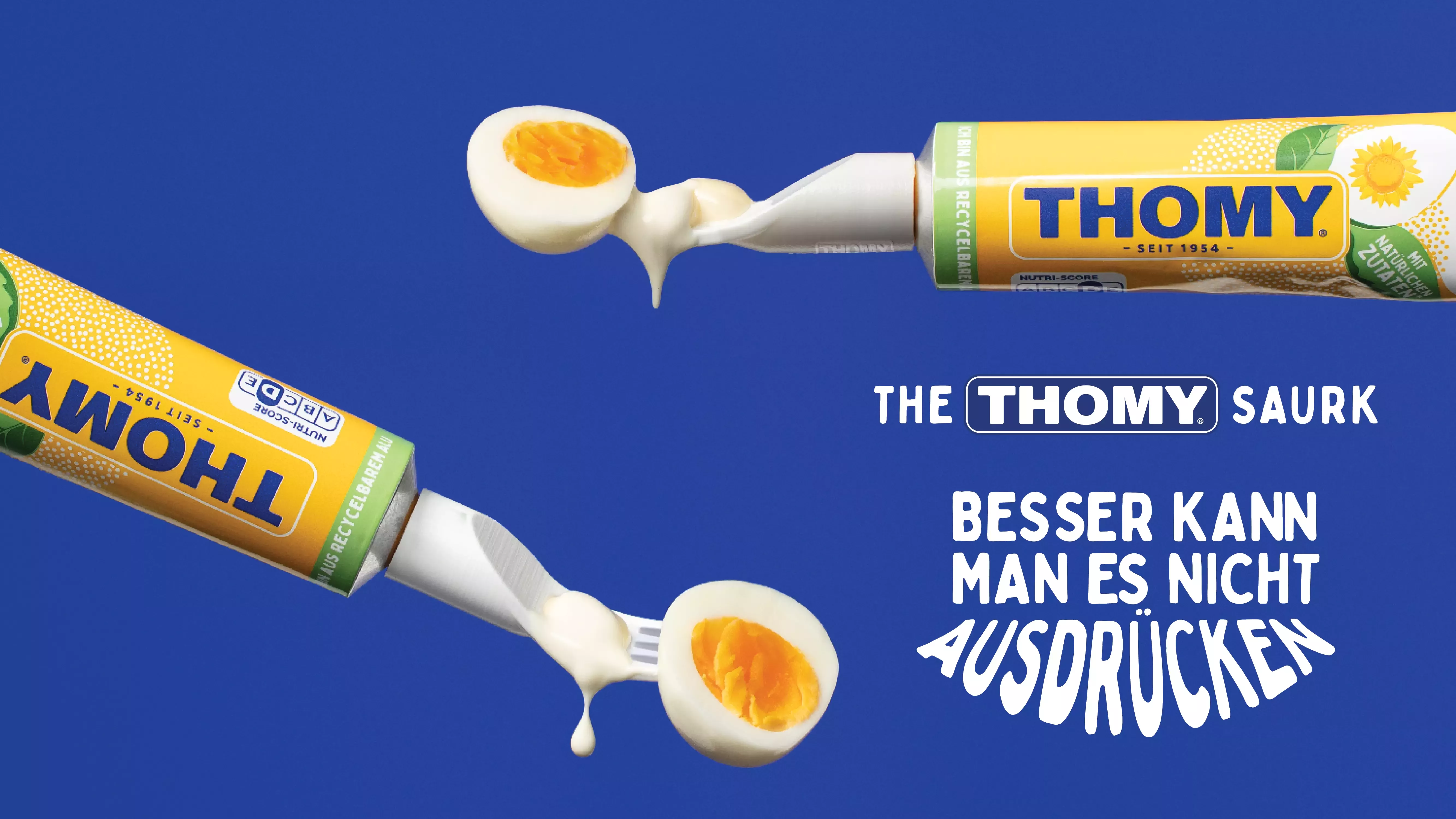 THOMY SAURK Visual 2