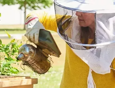 Bienen